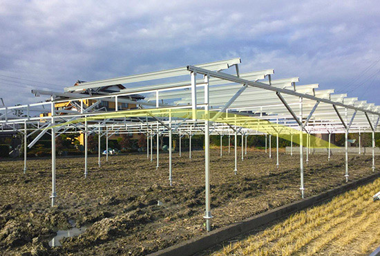 Farmland Solar Mounting System